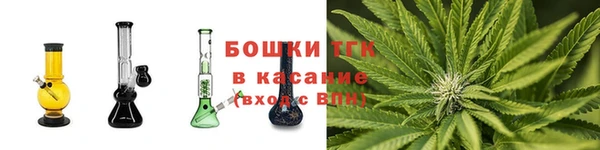 винт Бородино