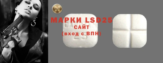 винт Бородино
