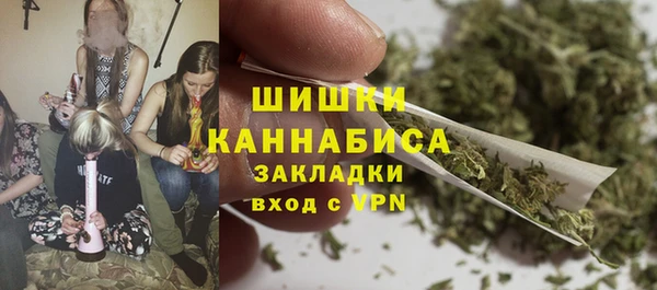 винт Бородино
