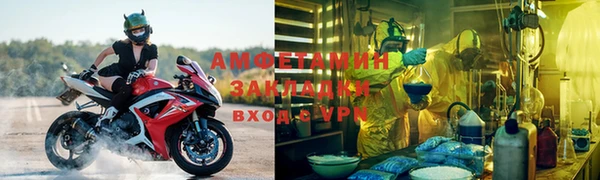 шишки Бронницы